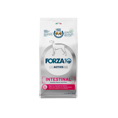 Forza10 - Intestinal Dry Dog Food for Sensitive Stomachs & Digestive Support, Fish Flavor