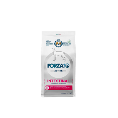Forza10 - Intestinal Dry Dog Food for Sensitive Stomachs & Digestive Support, Fish Flavor